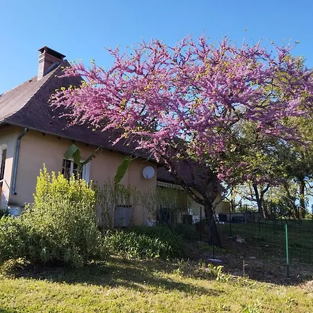 Holiday home De Charme Avec Cheminee En Dordogne - Fr-1-616-466 Tourtoirac